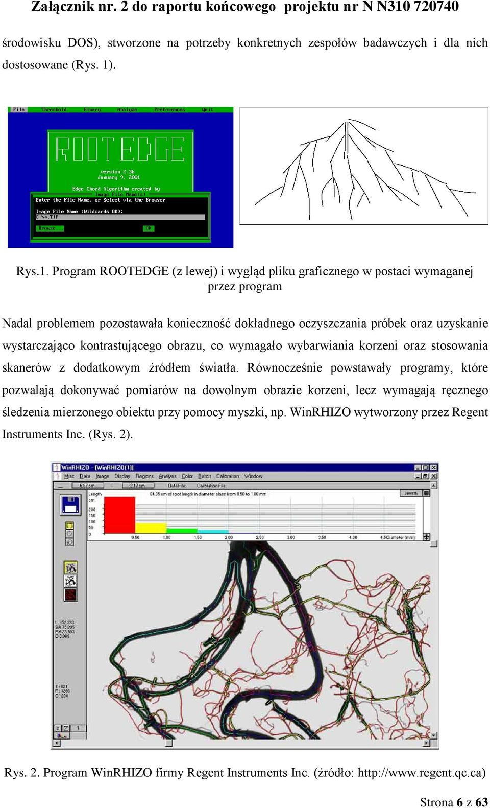 Program ROOTEDGE (z lewej) i wygląd pliku graficznego w postaci wymaganej przez program Nadal problemem pozostawała konieczność dokładnego oczyszczania próbek oraz uzyskanie