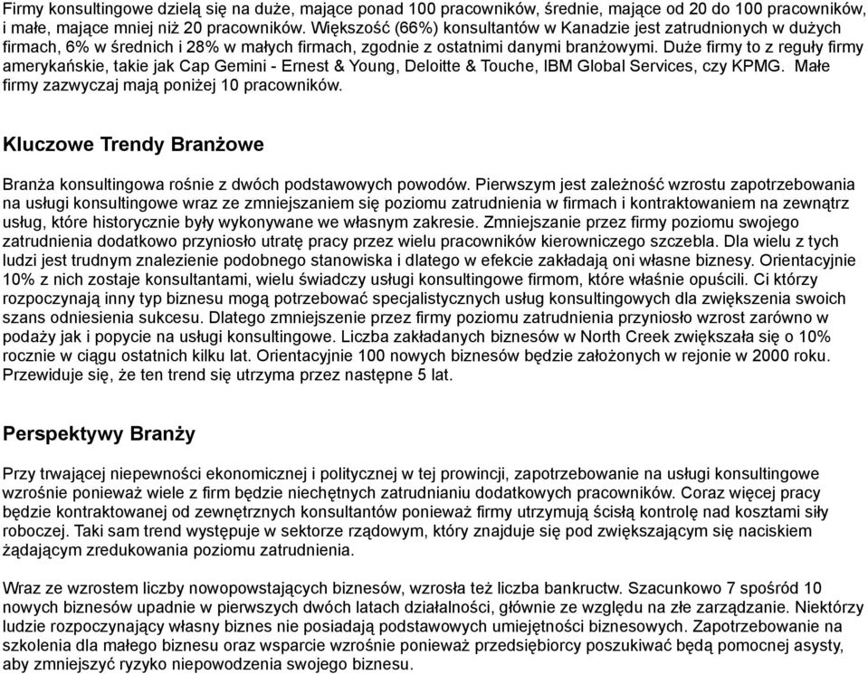 Duże firmy to z reguły firmy amerykańskie, takie jak Cap Gemini - Ernest & Young, Deloitte & Touche, IBM Global Services, czy KPMG. Małe firmy zazwyczaj mają poniżej 10 pracowników.