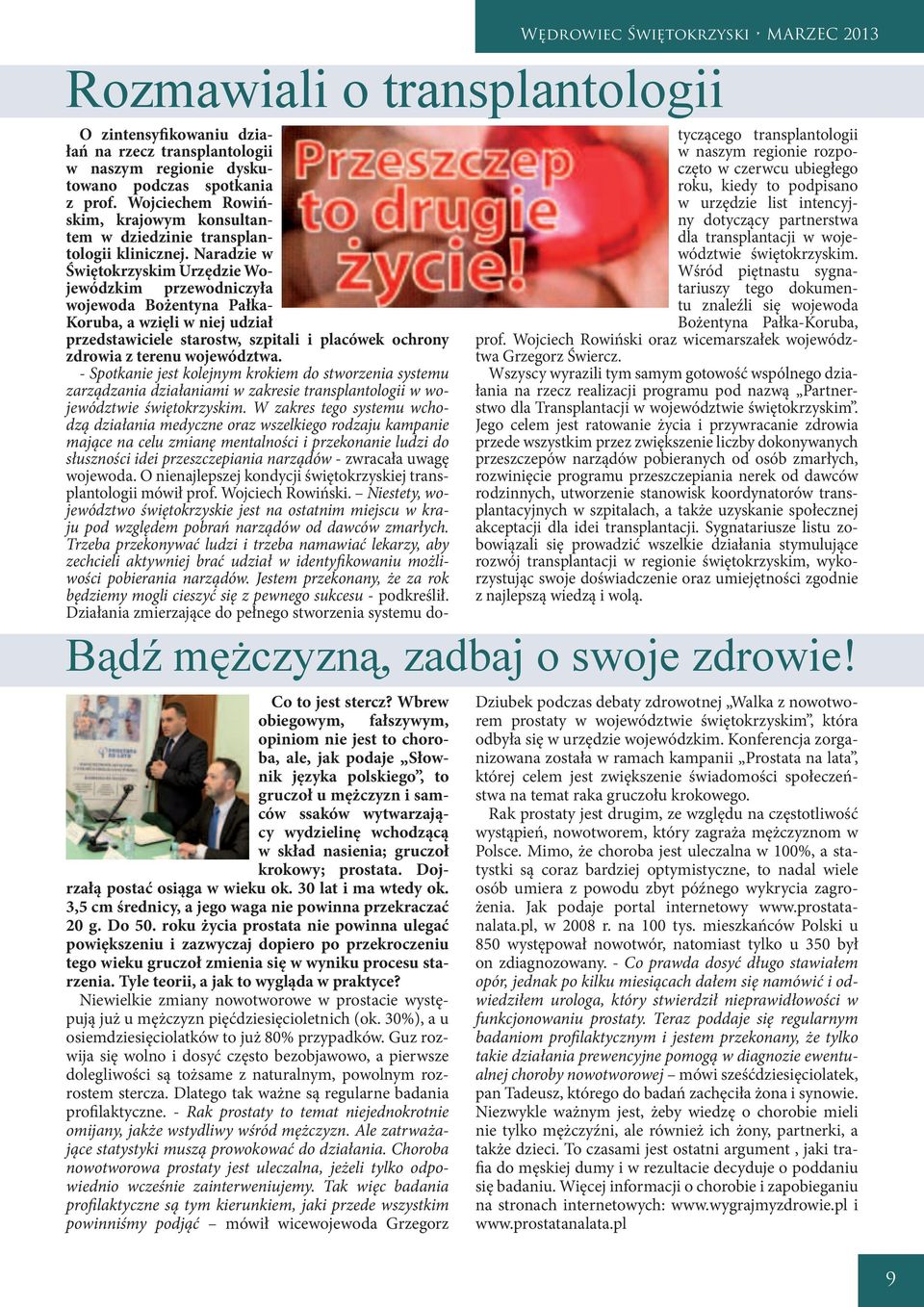 krokowy; prostata. Dojrzałą postać osiąga w wieku ok. 30 lat i ma wtedy ok. 3,5 cm średnicy, a jego waga nie powinna przekraczać 20 g. Do 50.