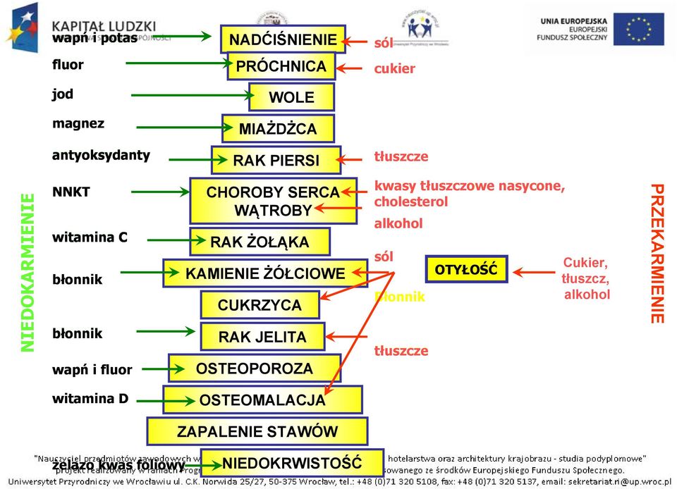 CUKRZYCA RAK JELITA OSTEOPOROZA kwasy tłuszczowe nasycone, cholesterol alkohol sól Błonnik tłuszcze OTYŁOŚĆ