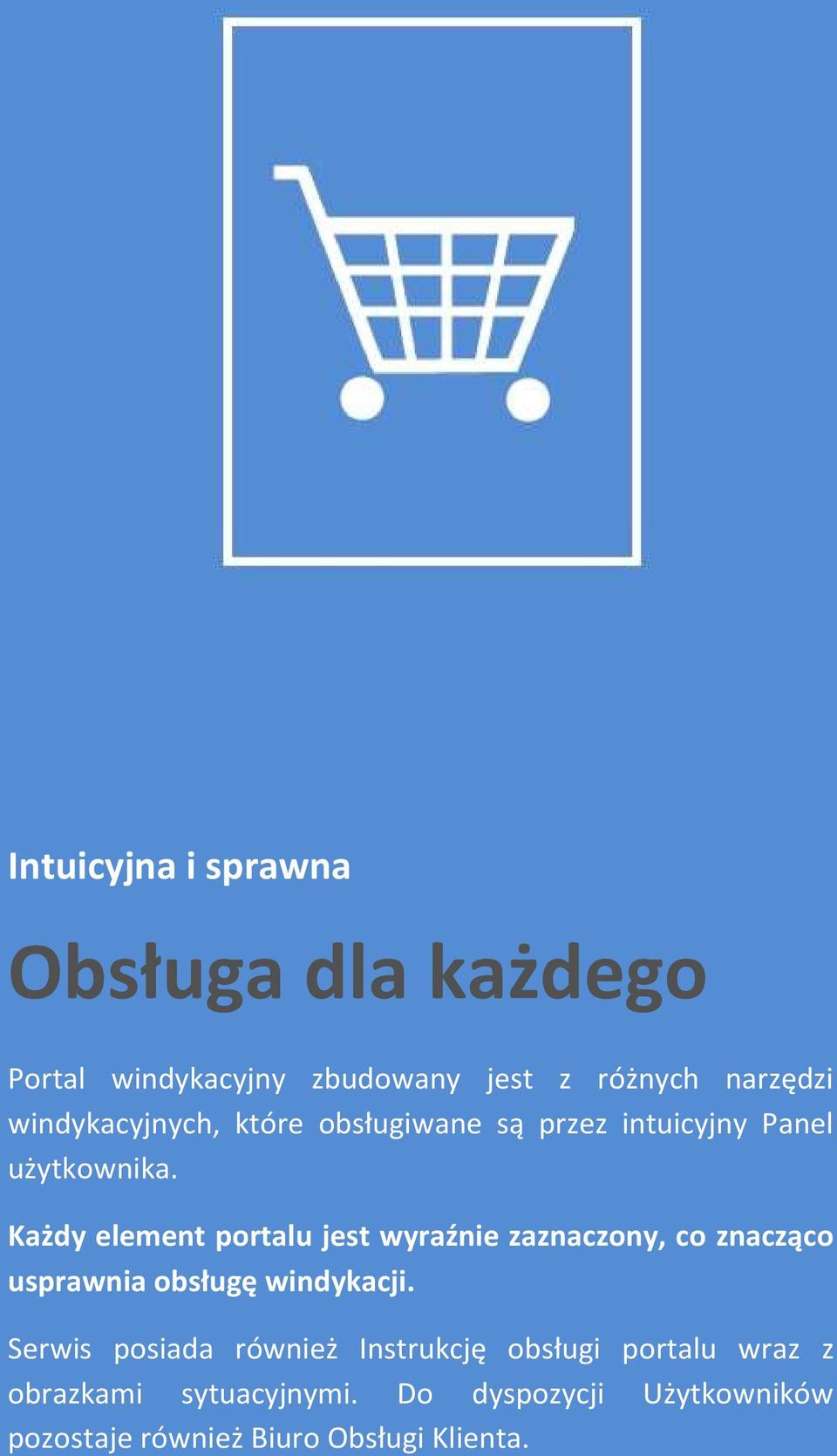 Każdy element portalu jest wyraźnie zaznaczony, co znacząco usprawnia obsługę windykacji.