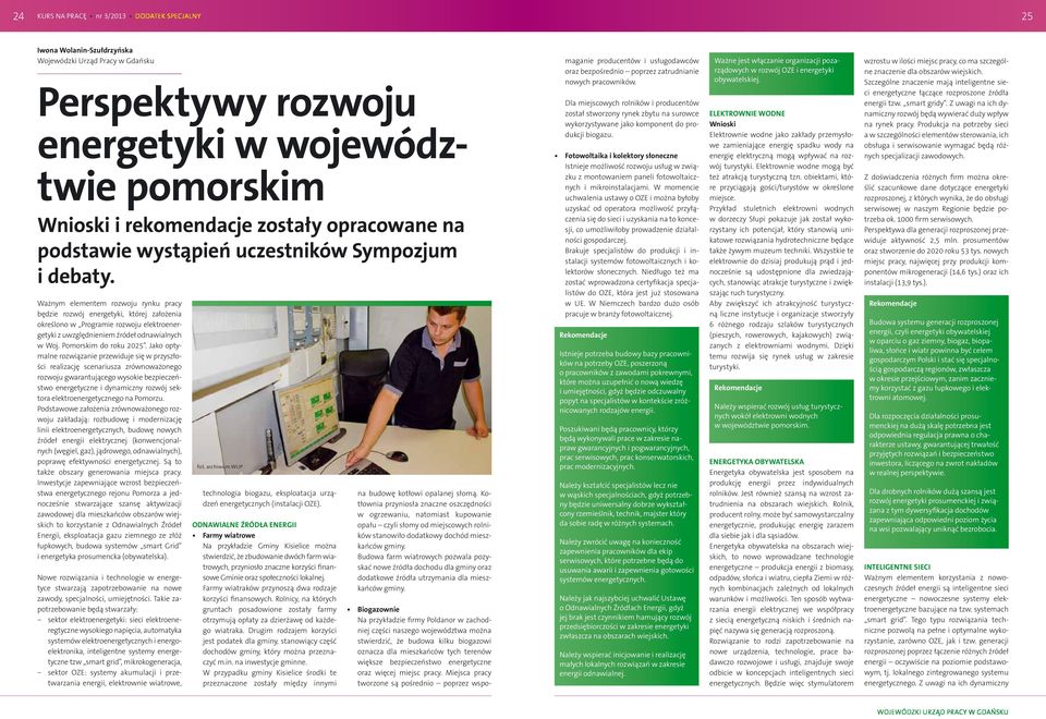 Ważnym elementem rozwoju rynku pracy będzie rozwój energetyki, której założenia określono w Programie rozwoju elektroenergetyki z uwzględnieniem źródeł odnawialnych w Woj. Pomorskim do roku 2025.