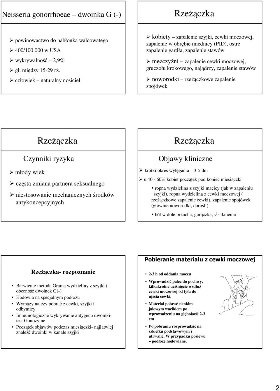 krokowego, najądrzy, zapalenie stawów noworodki rzeŝączkowe zapalenie spojówek młody wiek RzeŜączka Czynniki ryzyka częsta zmiana partnera seksualnego niestosowanie mechanicznych środków