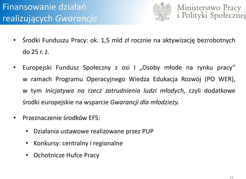 WER), w tym Inicjatywa na rzecz zatrudnienia ludzi młodych, czyli dodatkowe środki europejskie na wsparcie Gwarancji dla