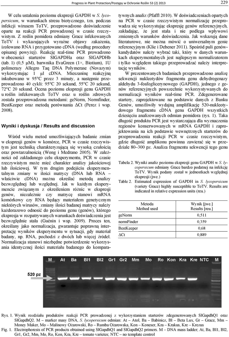 Z roślin pomidora odmiany Grace infekowanych ToTV i wykazujących wyraźne objawy zakażenia, izolowano RNA i przygotowano cdna (według procedury opisanej powyżej).