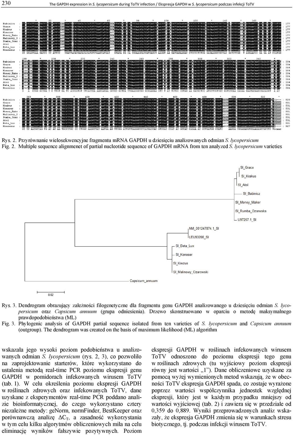 Multiple sequence alignmenet of partial nucleotide sequence of GAPDH mrna from ten analyzed S. lycopersicum varieties Rys. 3.