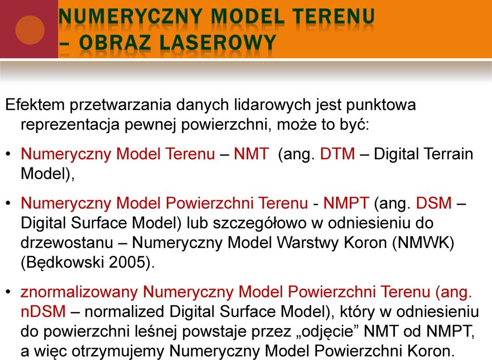 DSM Digital Surface Model) lub szczegółowo w odniesieniu do drzewostanu Numeryczny Model Warstwy Koron (NMWK) (Będkowski 2005).