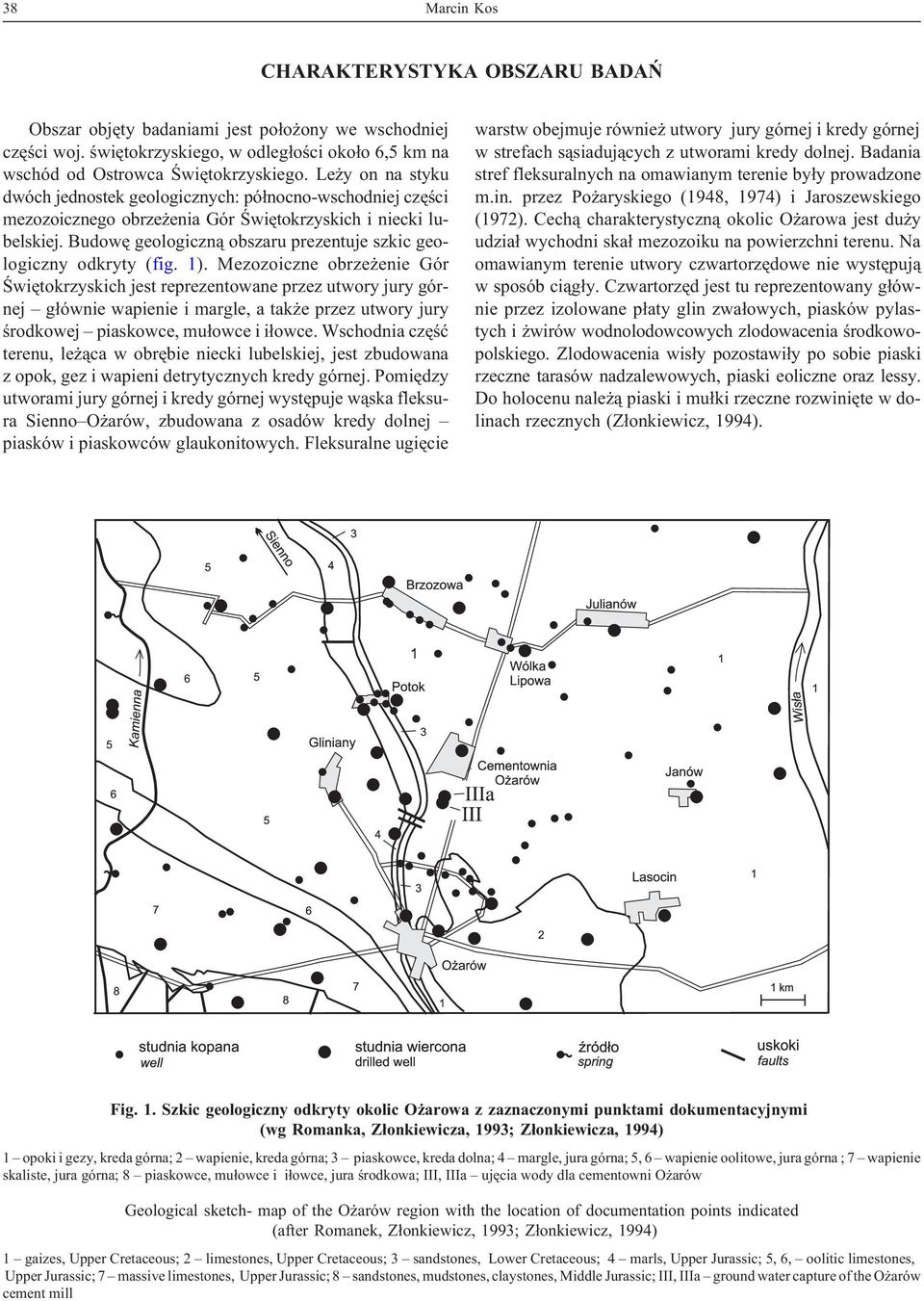 Budowê geologiczn¹ obszaru prezentuje szkic geologiczny odkryty (fig. 1).