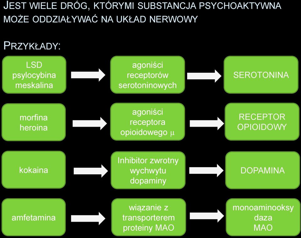 morfina heroina agoniści receptora opioidowego µ RECEPTOR OPIOIDOWY kokaina Inhibitor