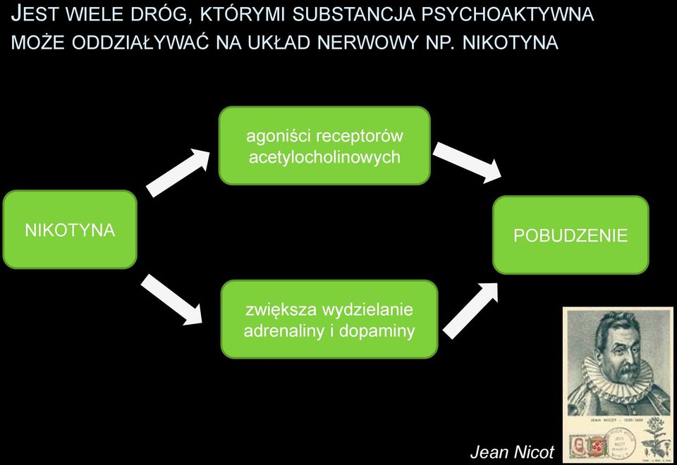 NIKOTYNA agoniści receptorów acetylocholinowych