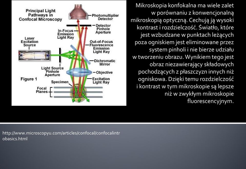 Światło, które jest wzbudzane w punktach leżących poza ogniskiem jest eliminowane przez system pinholi i nie bierze udziału w tworzeniu