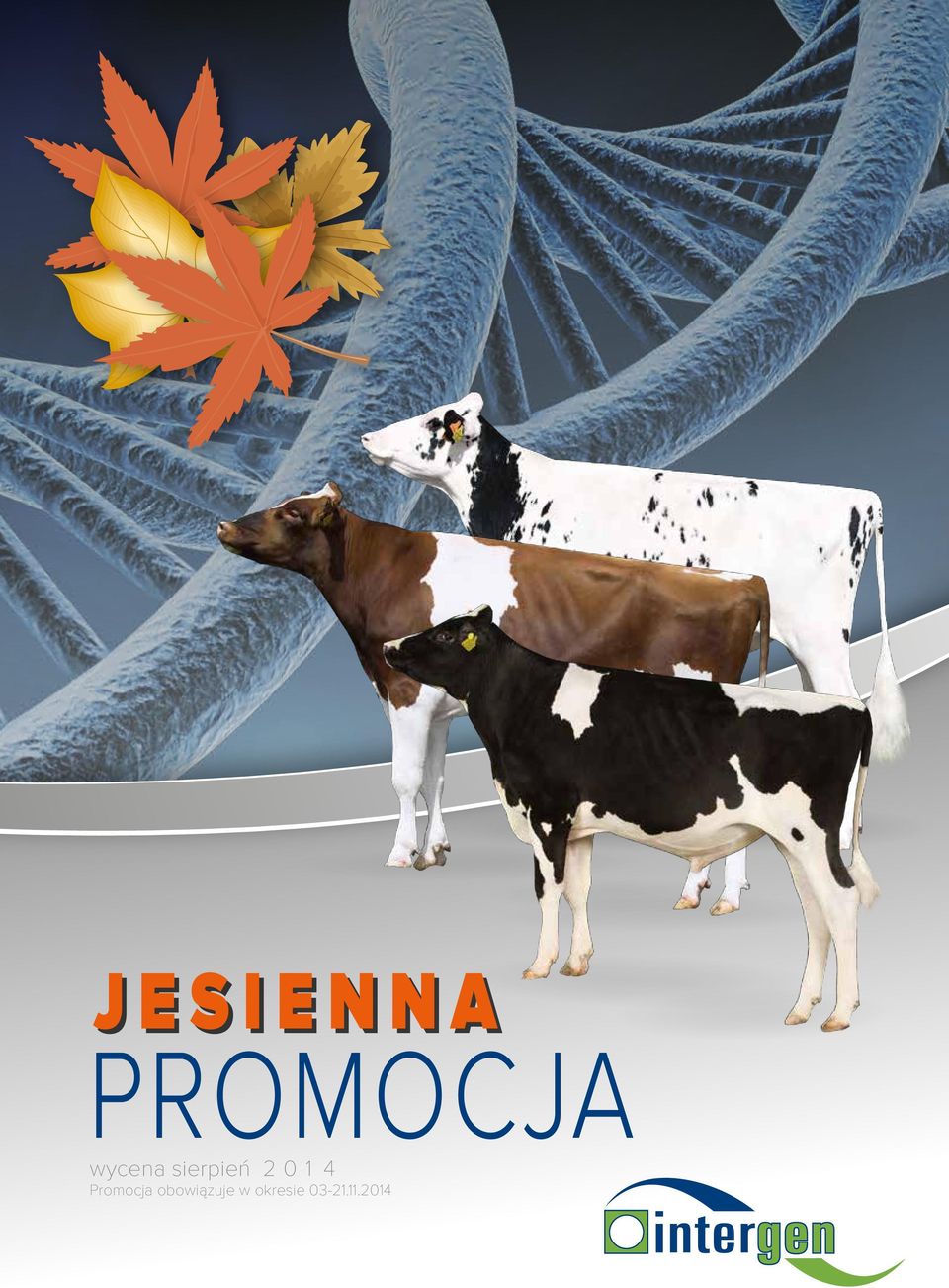 14 Promocja