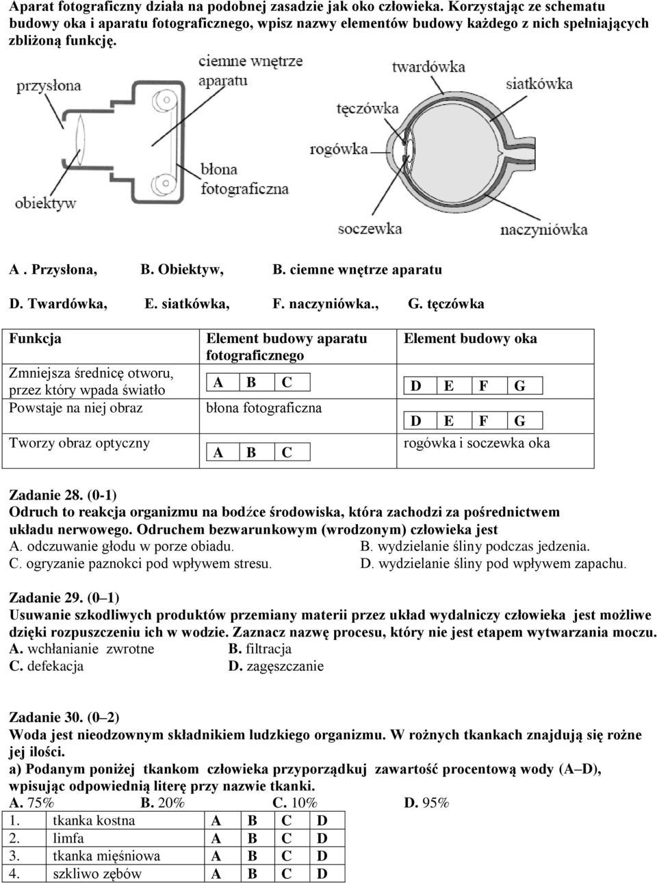 Twardówka, E. siatkówka, F. naczyniówka., G.