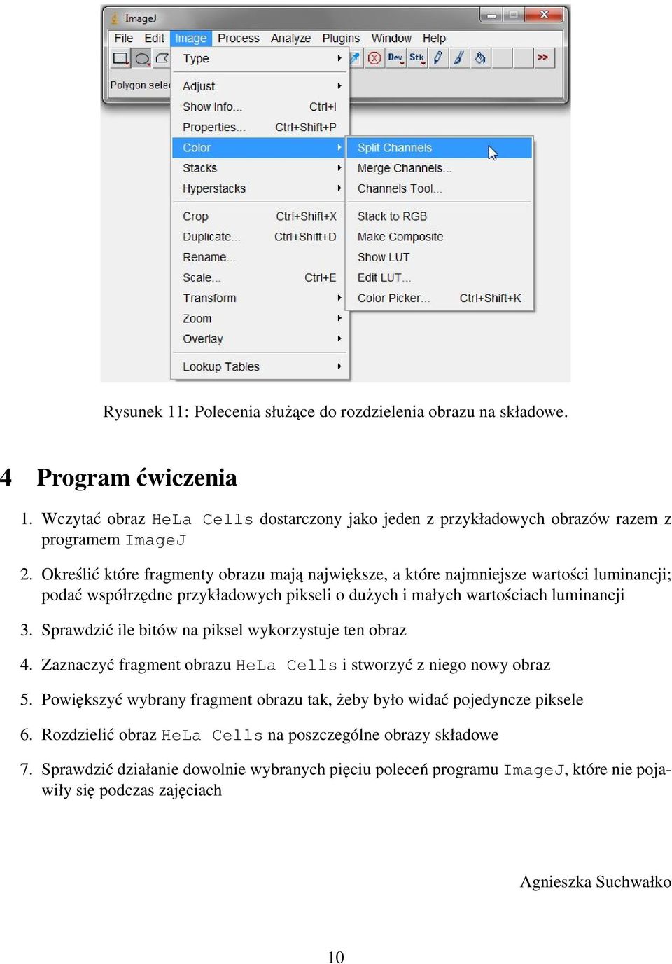 Sprawdzić ile bitów na piksel wykorzystuje ten obraz 4. Zaznaczyć fragment obrazu HeLa Cells i stworzyć z niego nowy obraz 5.