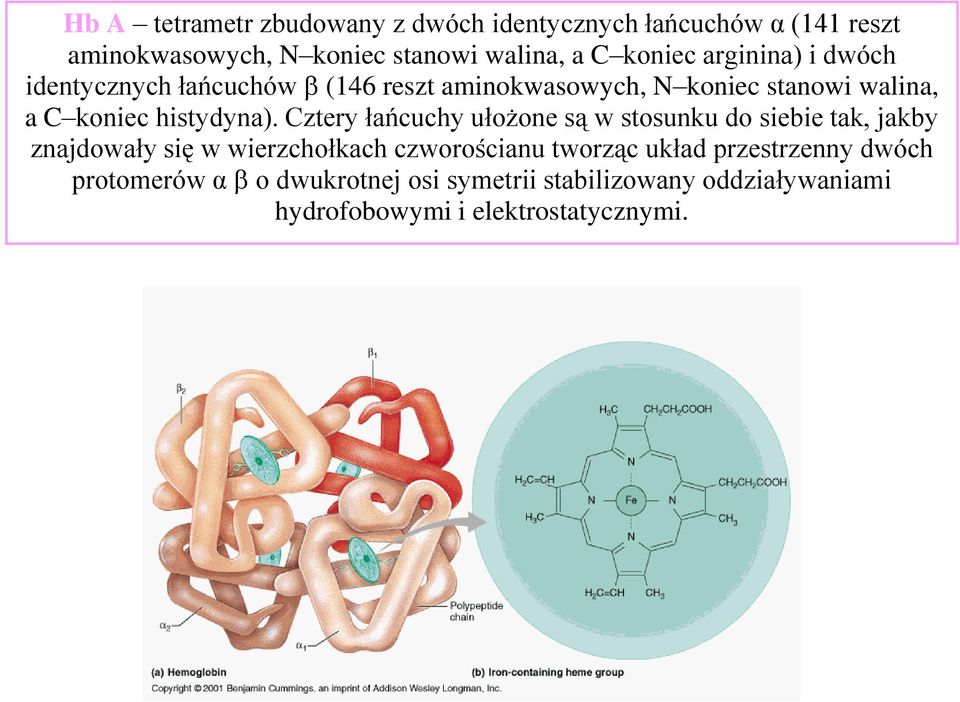 histydyna).