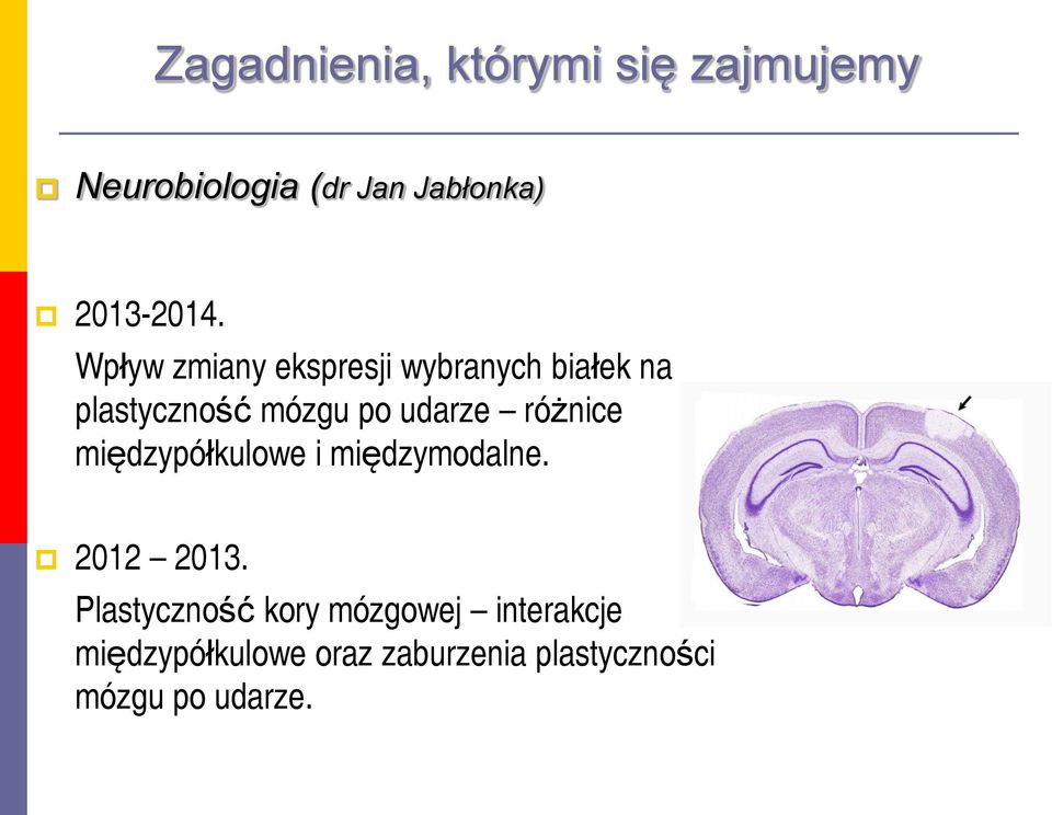 udarze różnice międzypółkulowe i międzymodalne. 2012 2013.