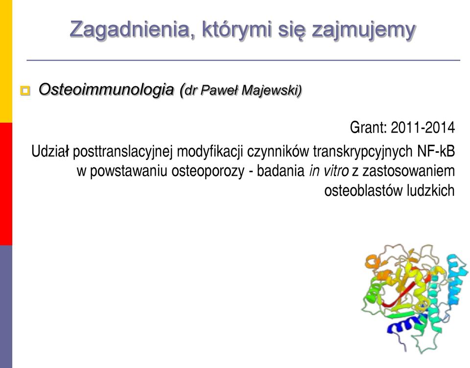 czynników transkrypcyjnych NF-kB w powstawaniu