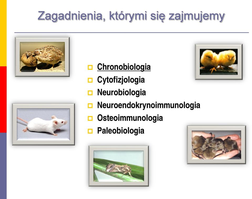 Neurobiologia