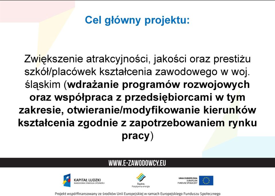 śląskim (wdrażanie programów rozwojowych oraz współpraca z