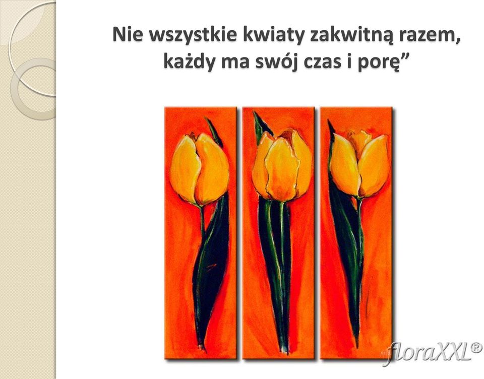 razem, każdy ma