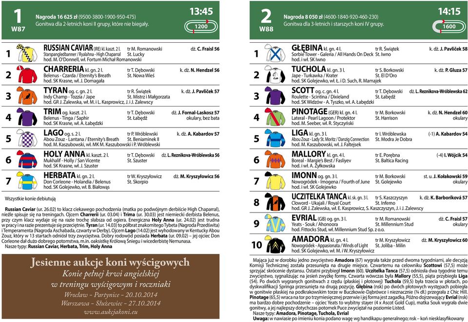 Fortum Michał Romanowski CHARRERIA kl. gn. l. tr T. Dębowski k. dż. N. Hendzel Belenus - Czarda / Eternity s Breath St. Nowa Wieś hod. SK Krasne, wł. J. Domagała TYRAN og. c. gn. l. tr R. Świątek k.