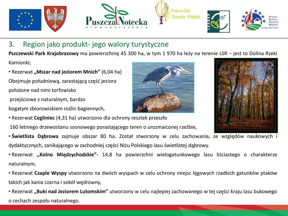 utworzono dla ochrony resztek przeszło 160 letniego drzewostanu sosnowego porastającego teren o urozmaiconej rzeźbie, Świetlista Dąbrowa zajmuje obszar 80 ha.