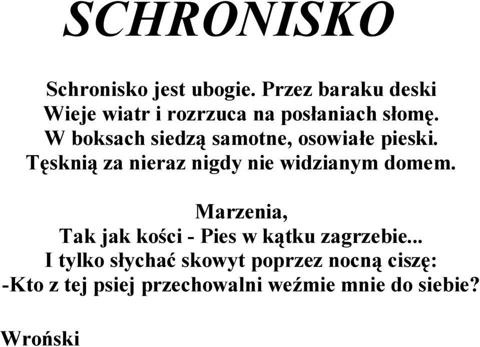 W boksach siedzą samotne, osowiałe pieski.