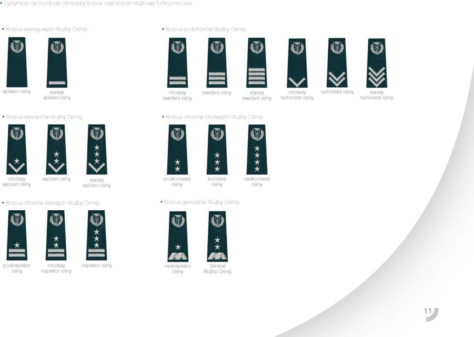 młodszy rachmistrz celny rachmistrz celny starszy rachmistrz celny Korpus aspirantów Służby Celnej: Korpus oficerów młodszych Służby Celnej: młodszy aspirant celny