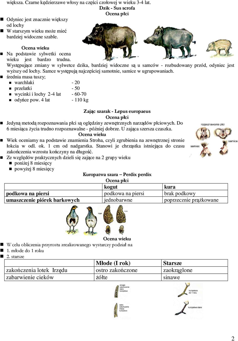 Samce występują najczęściej samotnie, samice w ugrupowaniach. średnia masa tuszy; warchlaki - 20 przelatki - 50 wycinki i lochy 2-4 lat - 60-70 odyńce pow.