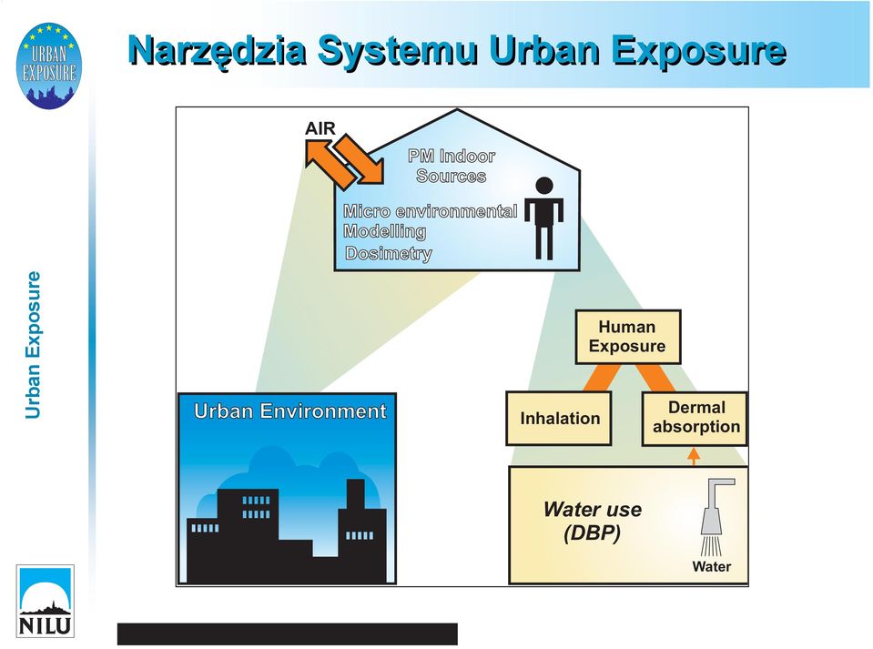 Urban Environment Inhalation Human