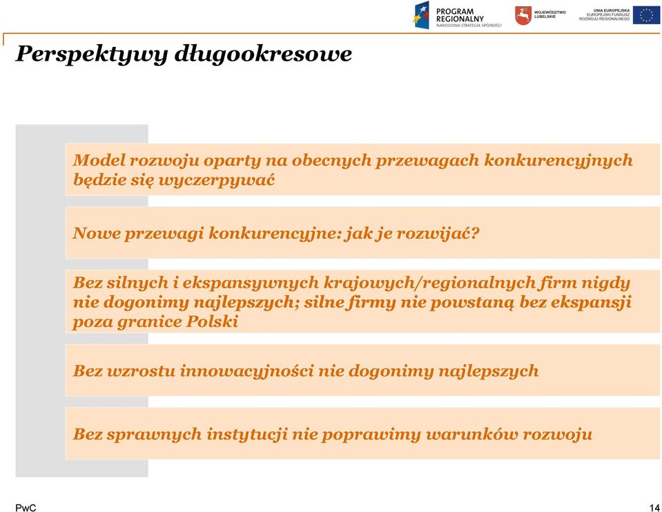 Bez silnych i ekspansywnych krajowych/regionalnych firm nigdy nie dogonimy najlepszych; silne firmy nie