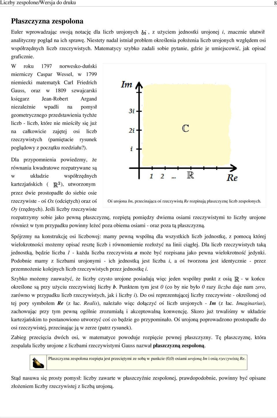 W roku 1797 norwesko-duński mierniczy Caspar Wessel w 1799 niemiecki matematyk Carl Friedrich Gauss oraz w 1809 szwajcarski księgarz Jean-Robert Argand niezależnie wpadli na pomysł geometrycznego