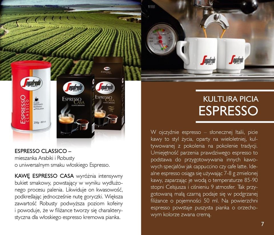Większa zawartość Robusty podwyższa poziom kofeiny i powoduje, że w fi liżance tworzy się charakterystyczna dla włoskiego espresso kremowa pianka.