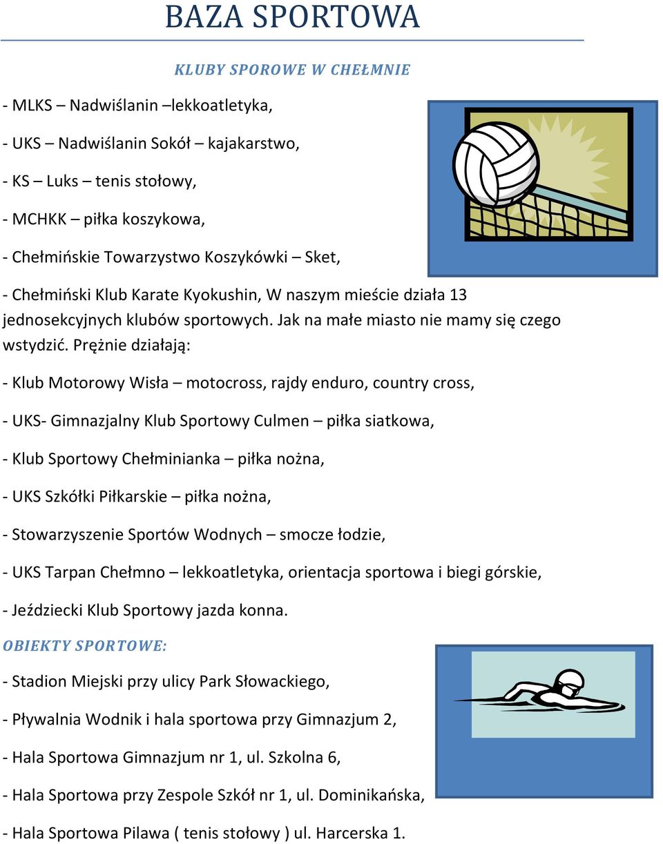 Prężnie działają: - Klub Motorowy Wisła motocross, rajdy enduro, country cross, - UKS- Gimnazjalny Klub Sportowy Culmen piłka siatkowa, - Klub Sportowy Chełminianka piłka nożna, - UKS Szkółki