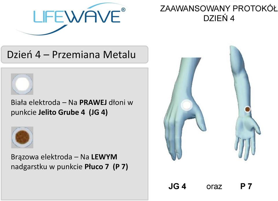 Jelito Grube 4 (JG 4) Brązowa elektroda Na LEWYM