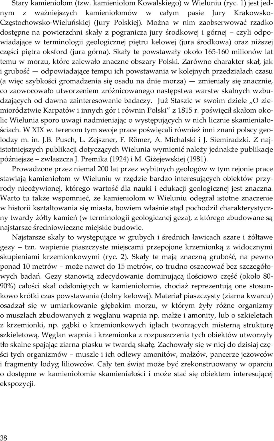 piętra oksford (jura górna). Skały te powstawały około 165-160 milionów lat temu w morzu, które zalewało znaczne obszary Polski.