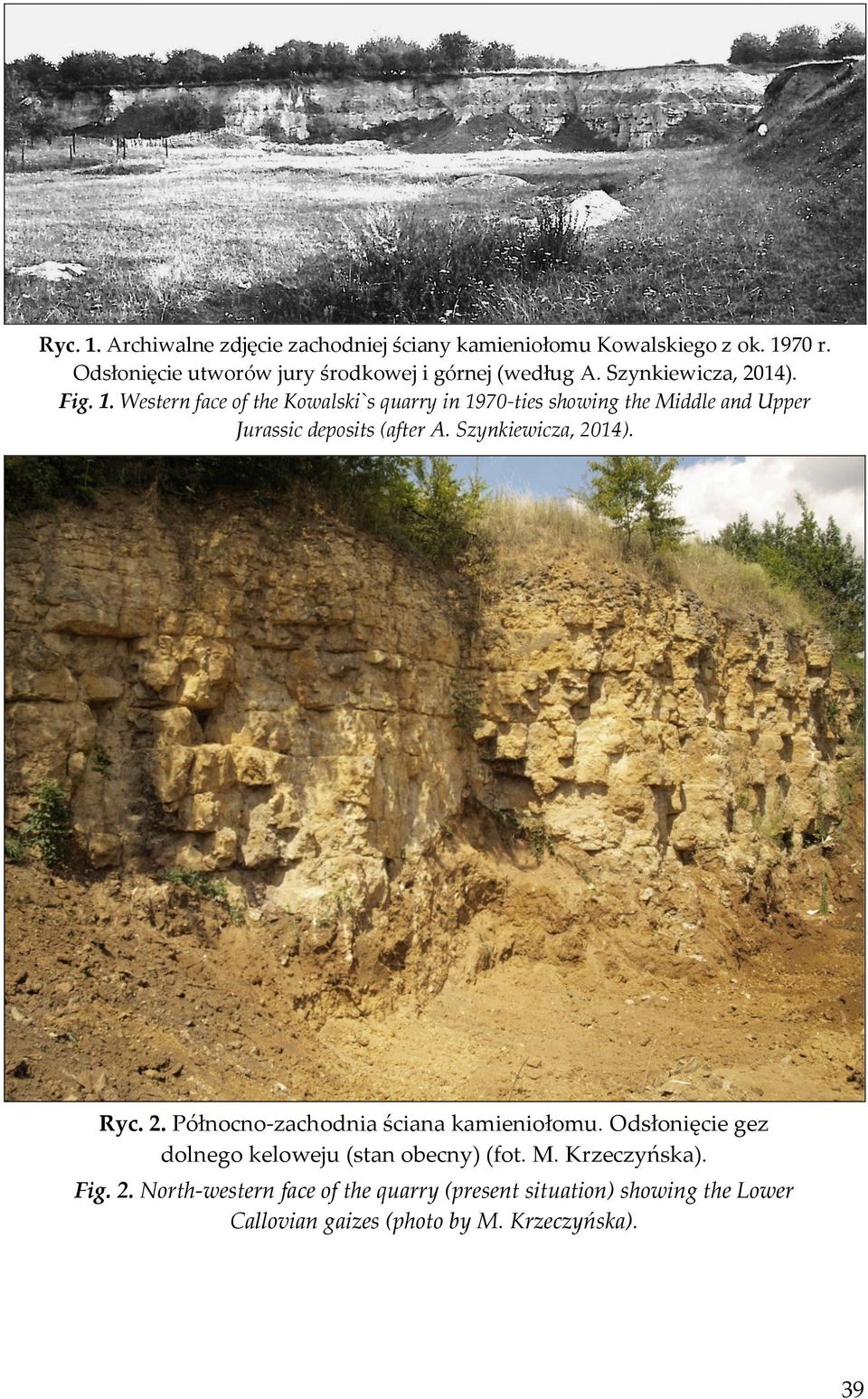 Western face of the Kowalski`s quarry in 1970-ties showing the Middle and Upper Jurassic deposits (after A. Szynkiewicza, 2014). Ryc.