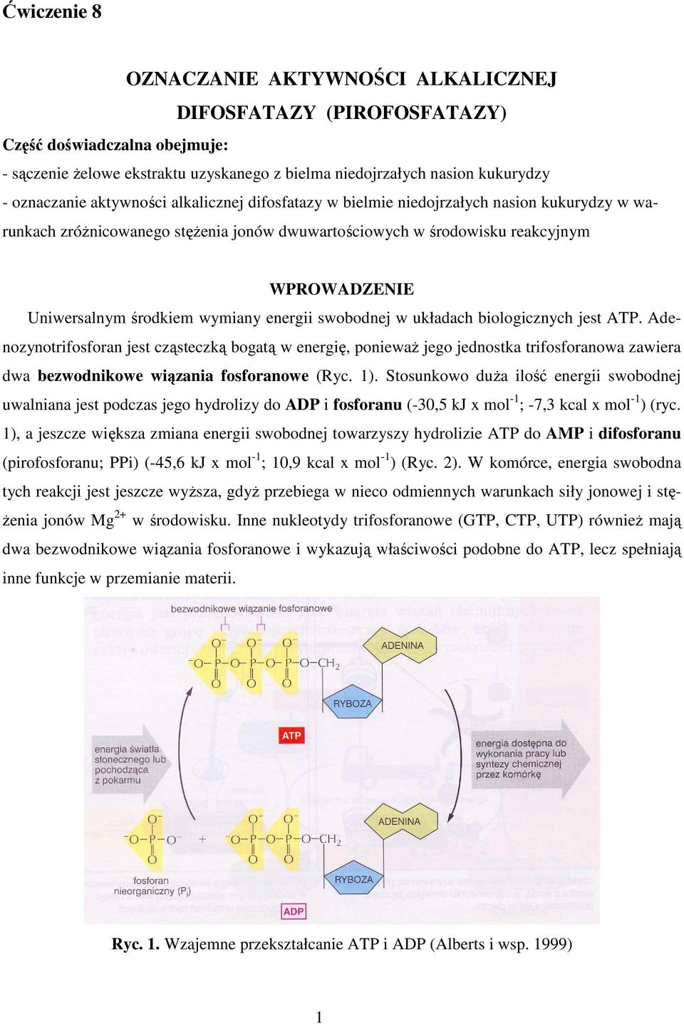 wymiany energii swobodnej w układach biologicznych jest ATP.