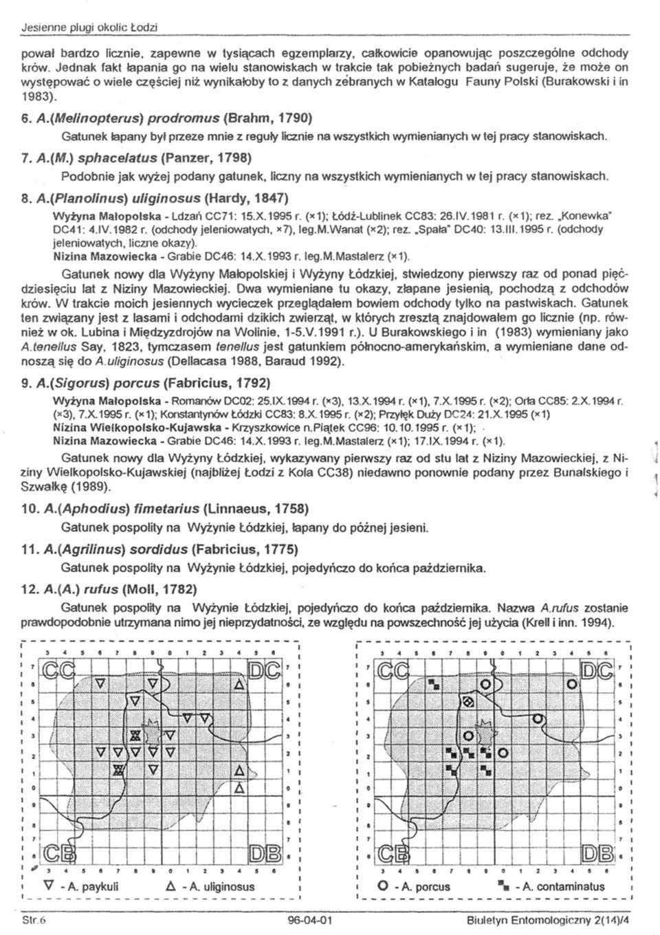 in 1983). 8. A.(Melinopterus) prodromus (Brahm, 1730) Gatunek łapany był przeze mnie z reguły lianie na wszystkich wymienianych w tej pracy stanowiskach. 7. A.(M.) sphacefatus (Panzer, 1798) Podobnie jak wyżej podany gatunek, liczny na wszystkich wymienianych w tej pracy stanowiskach.