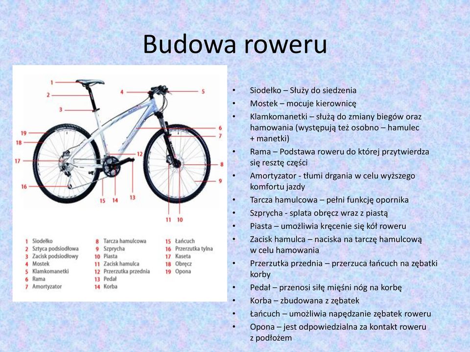 splata obręcz wraz z piastą Piasta umożliwia kręcenie się kół roweru Zacisk hamulca naciska na tarczę hamulcową w celu hamowania Przerzutka przednia przerzuca łańcuch na