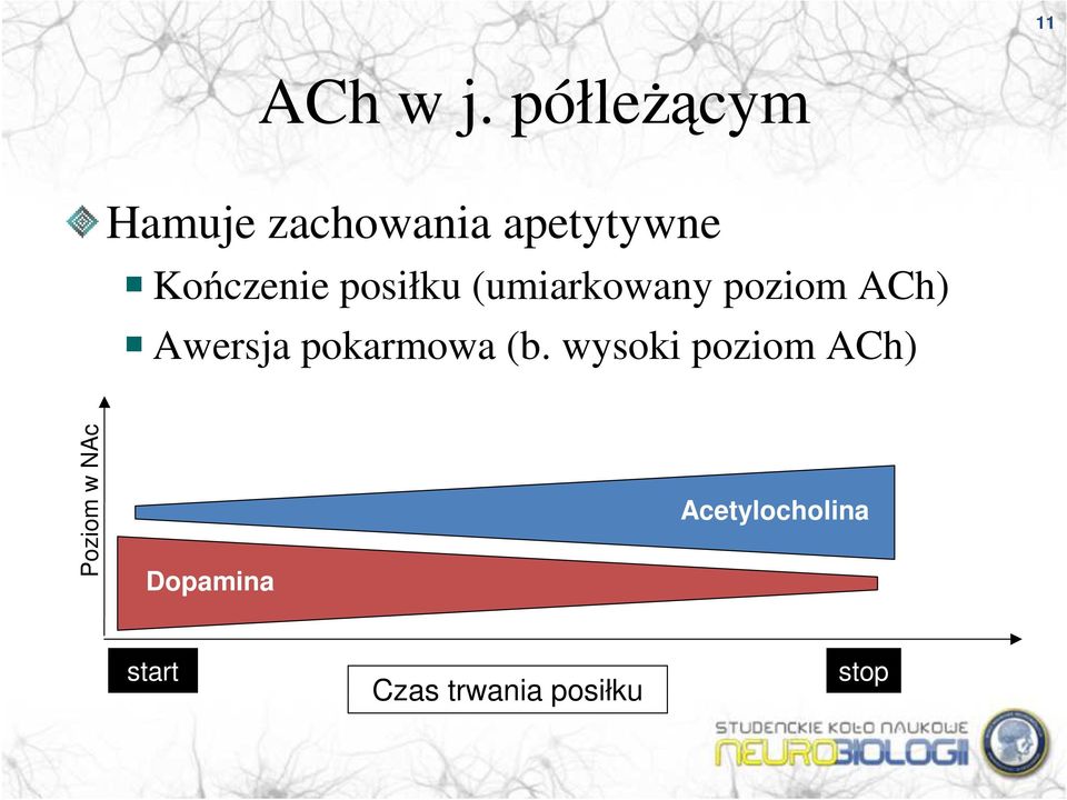 posiłku (umiarkowany poziom ACh) Awersja pokarmowa