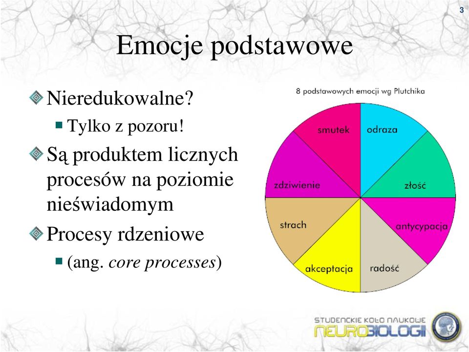 Są produktem licznych procesów na