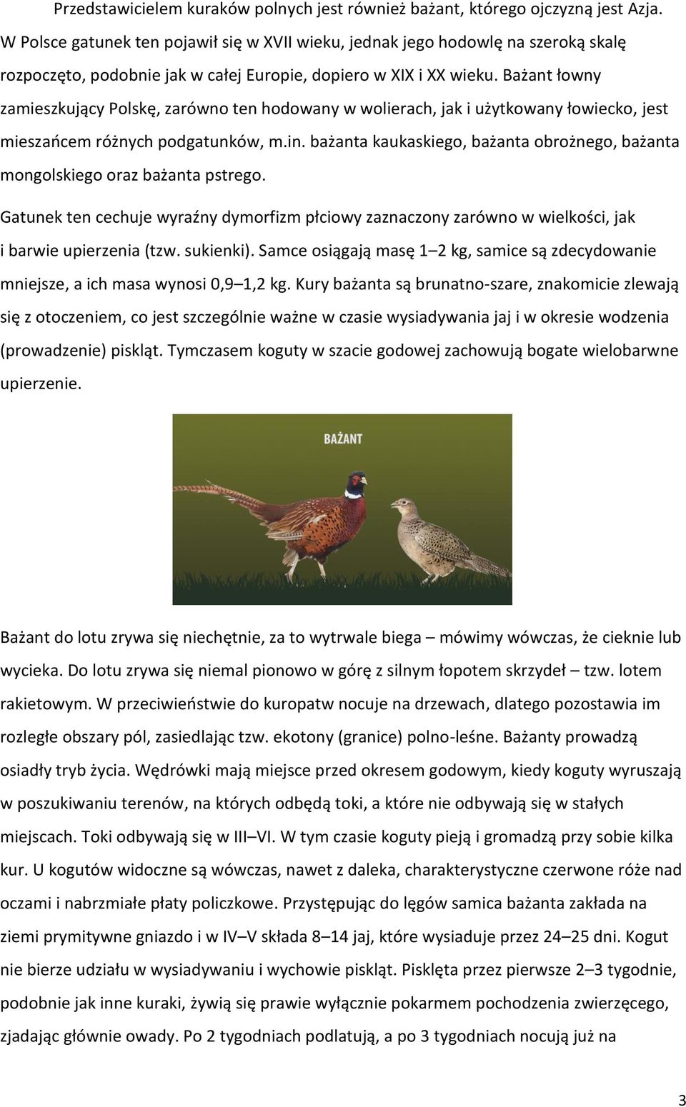 Bażant łowny zamieszkujący Polskę, zarówno ten hodowany w wolierach, jak i użytkowany łowiecko, jest mieszańcem różnych podgatunków, m.in.