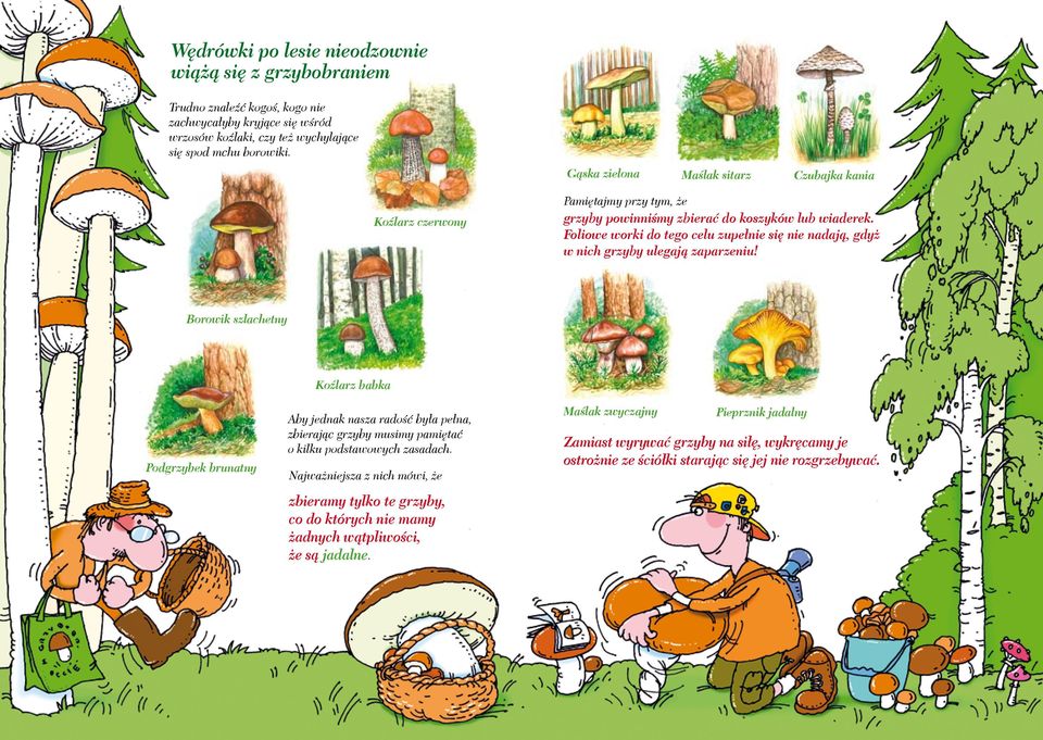 Foliowe worki do tego celu zupełnie się nie nadają, gdyż w nich grzyby ulegają zaparzeniu!