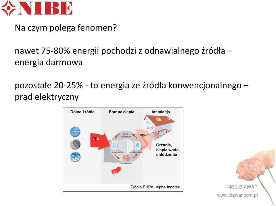 odnawialnego źródła energia darmowa