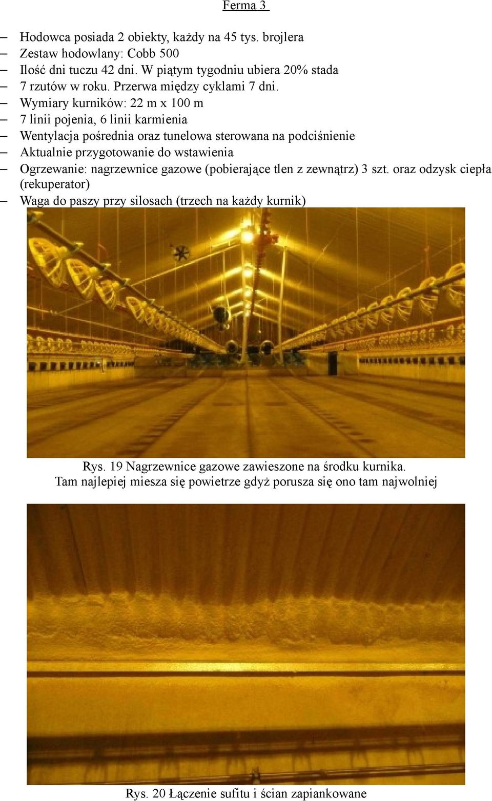 Wymiary kurników: 22 m x 100 m 7 linii pojenia, 6 linii karmienia Wentylacja pośrednia oraz tunelowa sterowana na podciśnienie Aktualnie przygotowanie do wstawienia