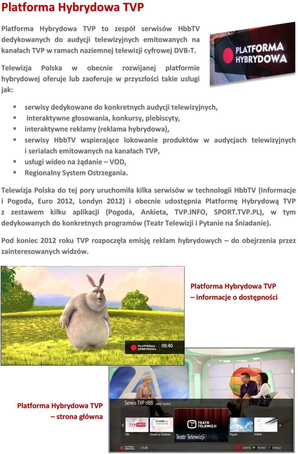 konkursy, plebiscyty, interaktywne reklamy (reklama hybrydowa), serwisy HbbTV wspierające lokowanie produktów w audycjach telewizyjnych i serialach emitowanych na kanałach TVP, usługi wideo na