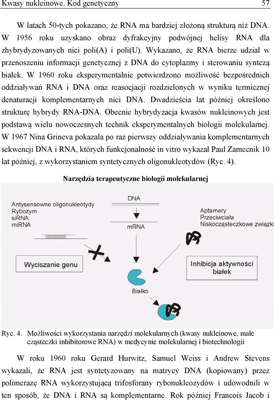 Wykazano, że RNA bierze udział w przenoszeniu informacji genetycznej z DNA do cytoplazmy i sterowaniu syntezą białek.