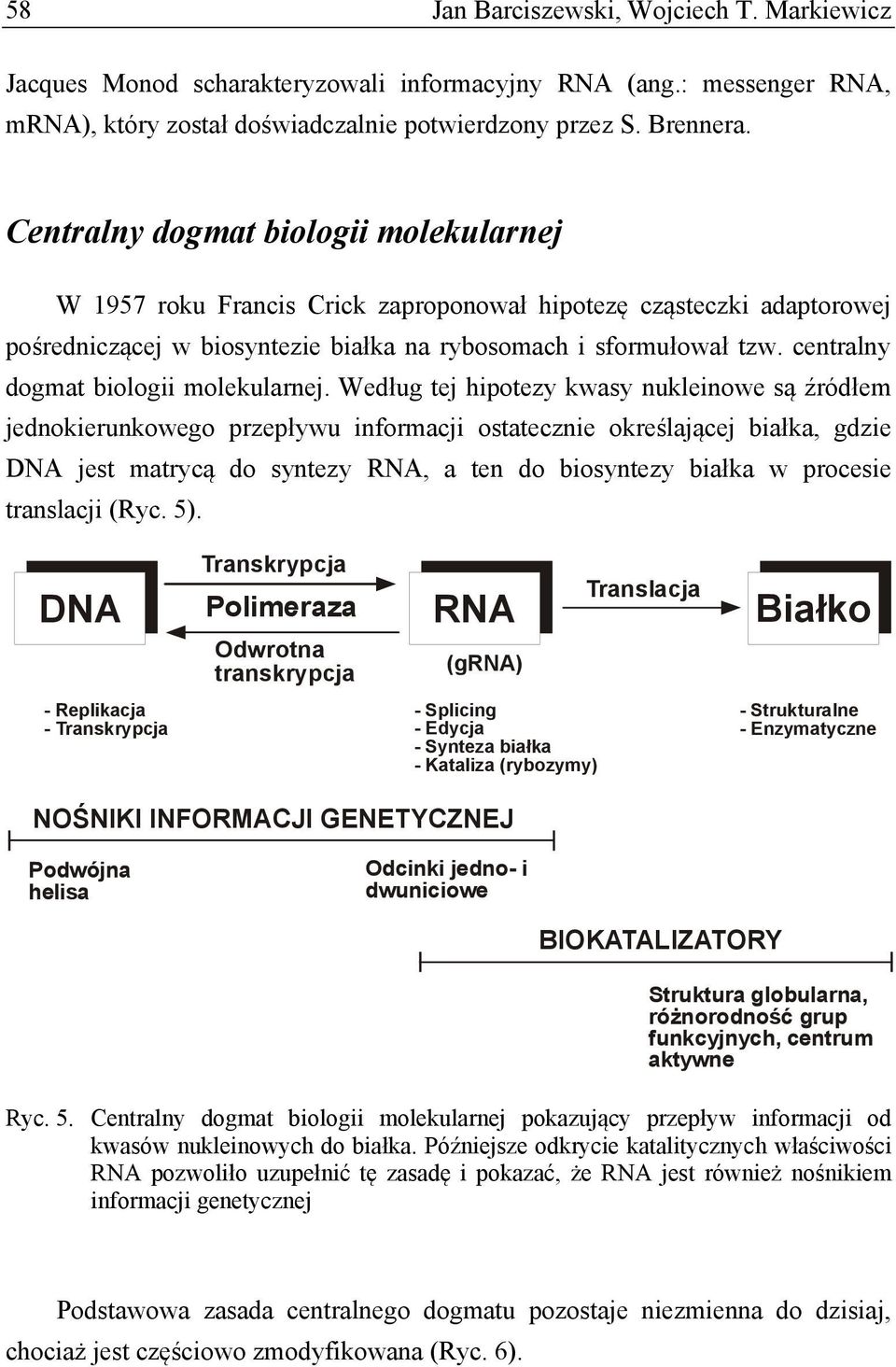 centralny dogmat biologii molekularnej.