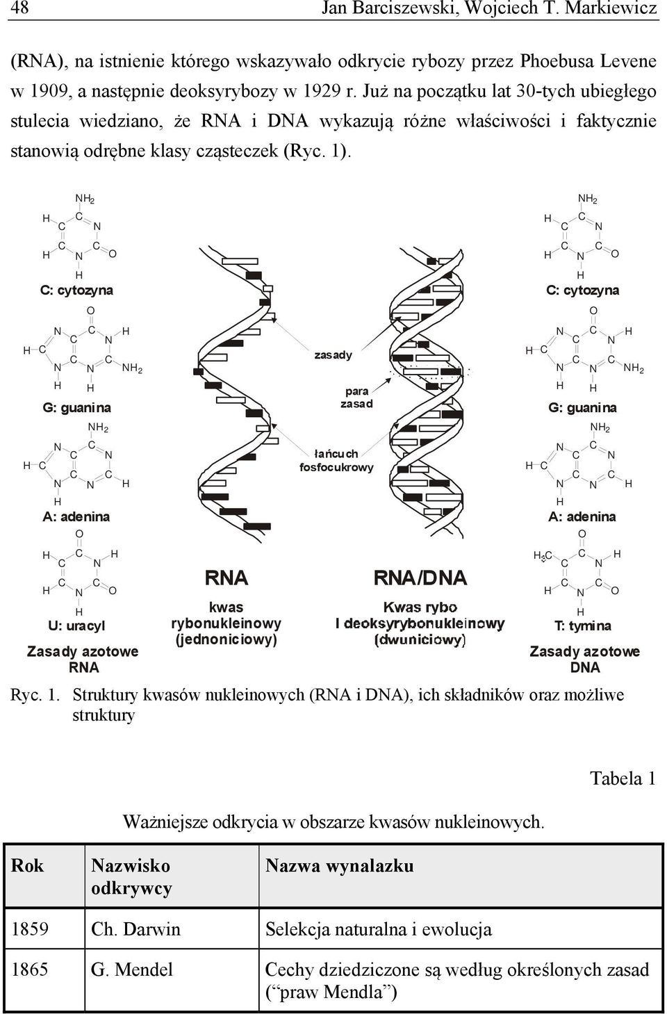 NH2 H C C N H C C N O H C: cytozyna O N C C N H H C N C C N NH2 H H G: guanina NH2 N C C N H C C C N H N H A: adenina O H C H C N H C N C O H U: uracyl Zasady azotowe RNA RNA kwas rybonukleinowy